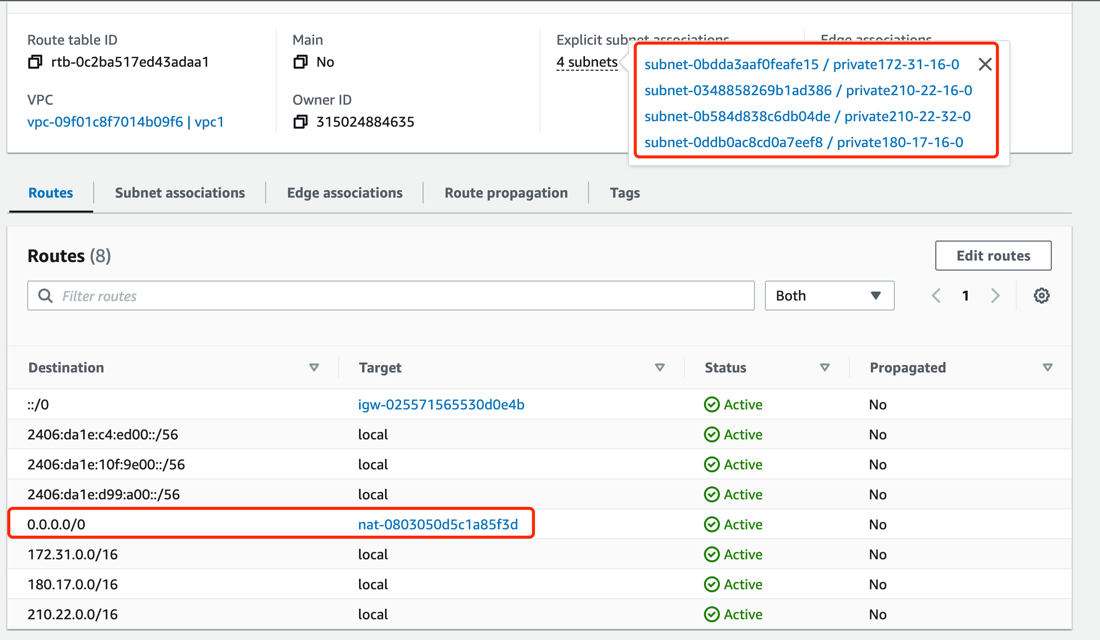 aws-nat-route